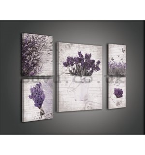 Painting on canvas: Levander - set 1pc 50x70 cm and 4pc 32,4x22,8 cm