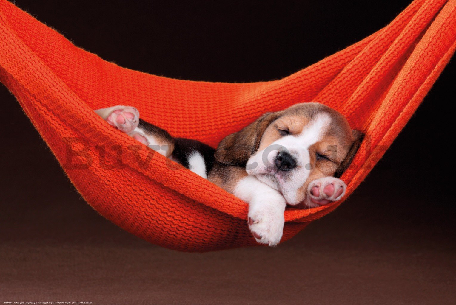 Poster: Puppy in a hammock
