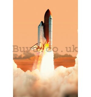 Poster: Space Shuttle Launching (2)