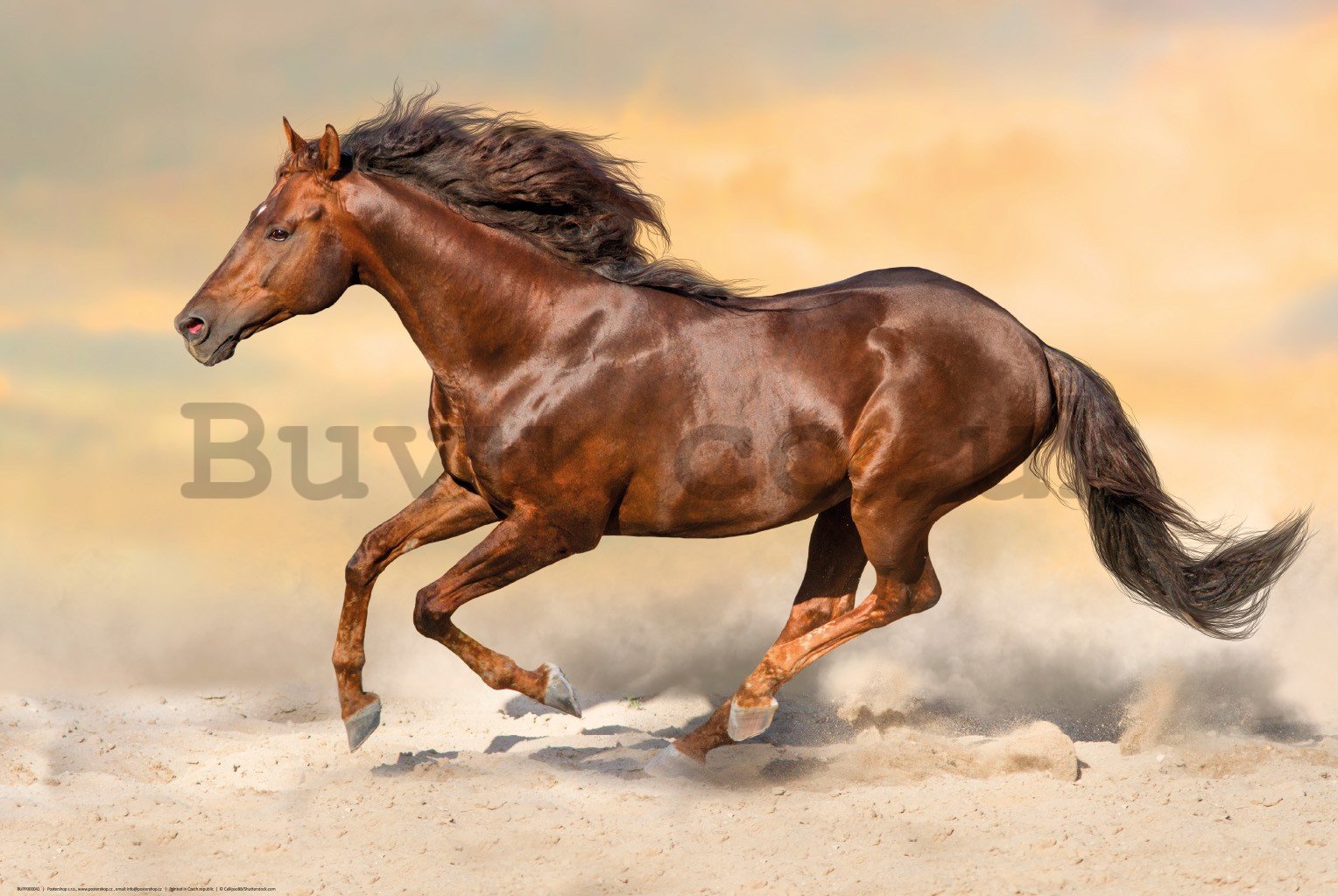 Poster: Galloping Horse (2)