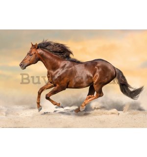 Poster: Galloping Horse (2)