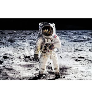 Poster: Moon Landing (Cosmonaut)