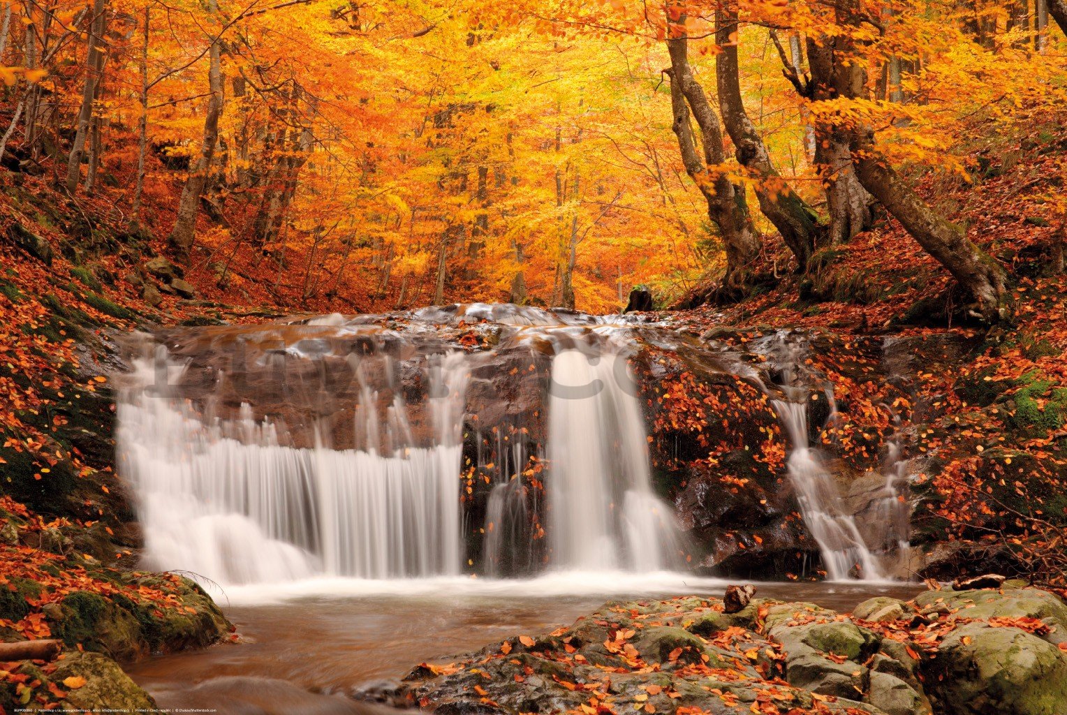 Poster: Autumn waterfall