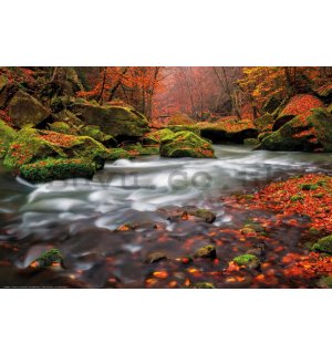 Poster: Autumn rapids