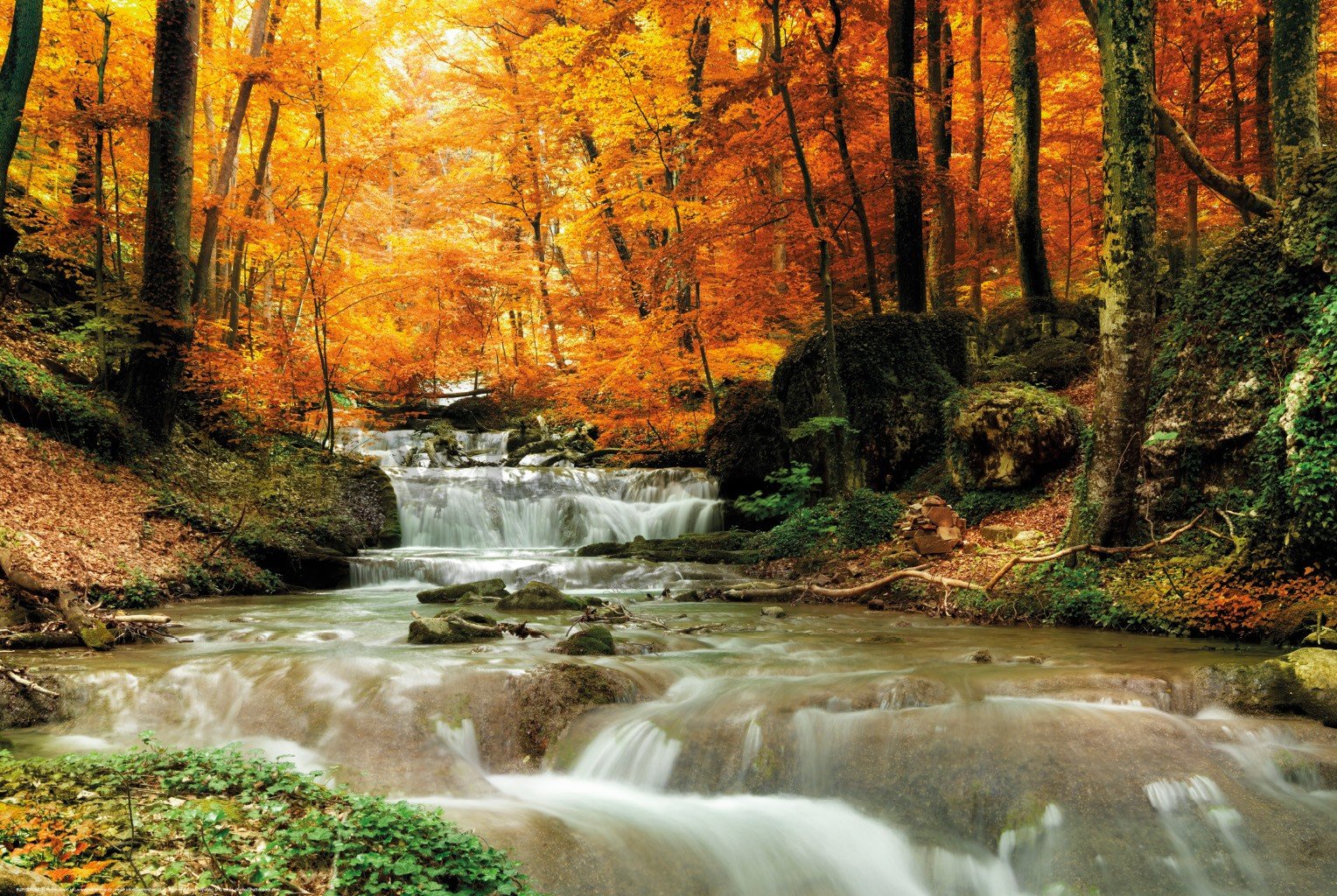 Poster: Autumn river