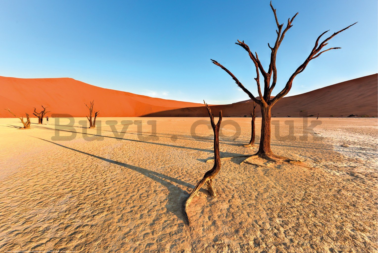 Poster: Arid Namib Desert