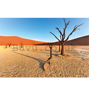 Poster: Arid Namib Desert