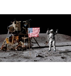 Poster: Moon Landing (Flag)