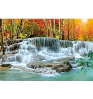 Poster: Forest waterfall