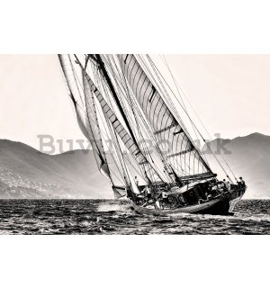 Poster: Yachting (black and white sailboat)