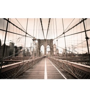 Poster: A trip across the Brooklyn Bridge