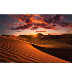 Poster: Sunset over the desert