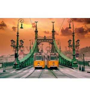 Poster: Trams on the Freedom Bridge, Budapest