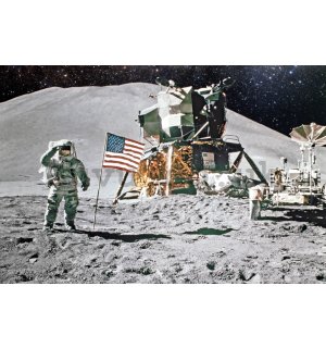 Poster: Moon Landing (Apollo 11)