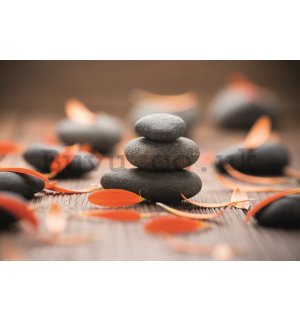 Poster: Zen stones and gerbera leaves