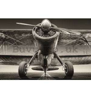 Poster: A view of a biplane