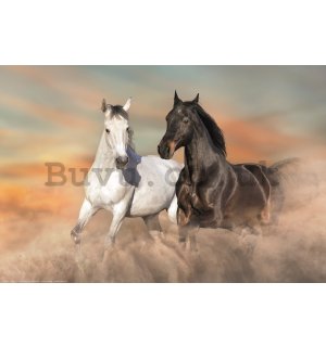 Poster: Galloping horses in the sand