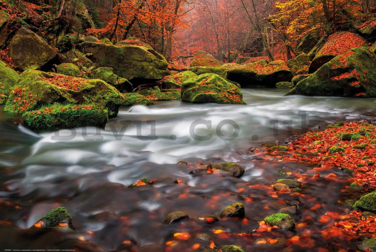 Poster: Autumn rapids