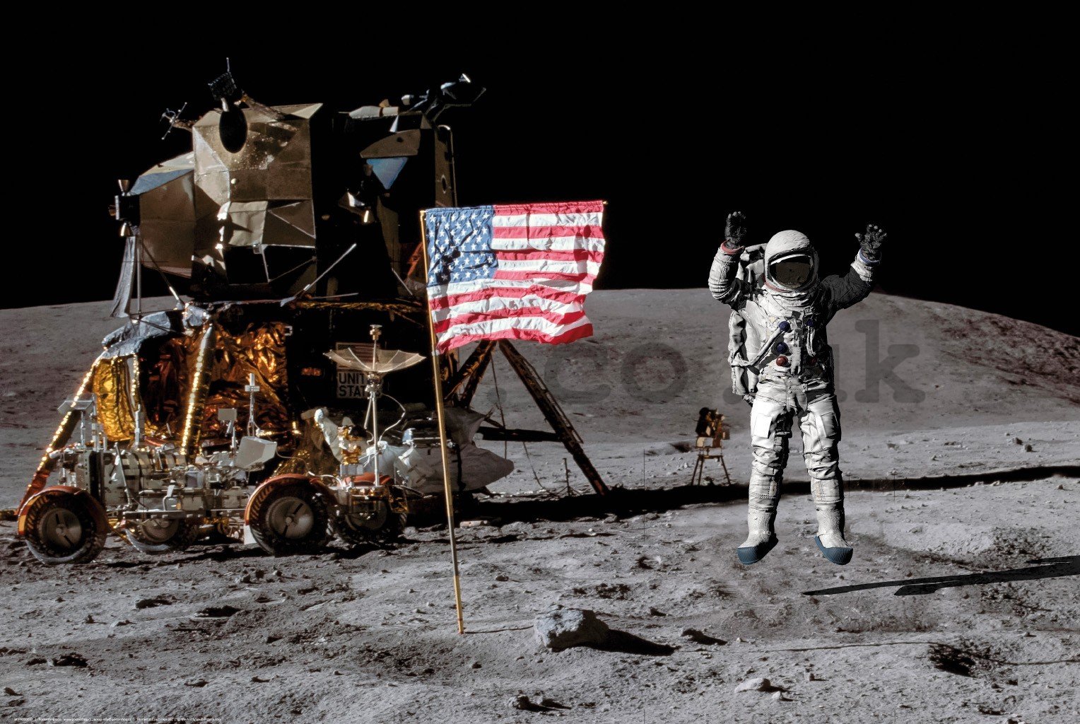 Poster: Moon Landing (Flag)