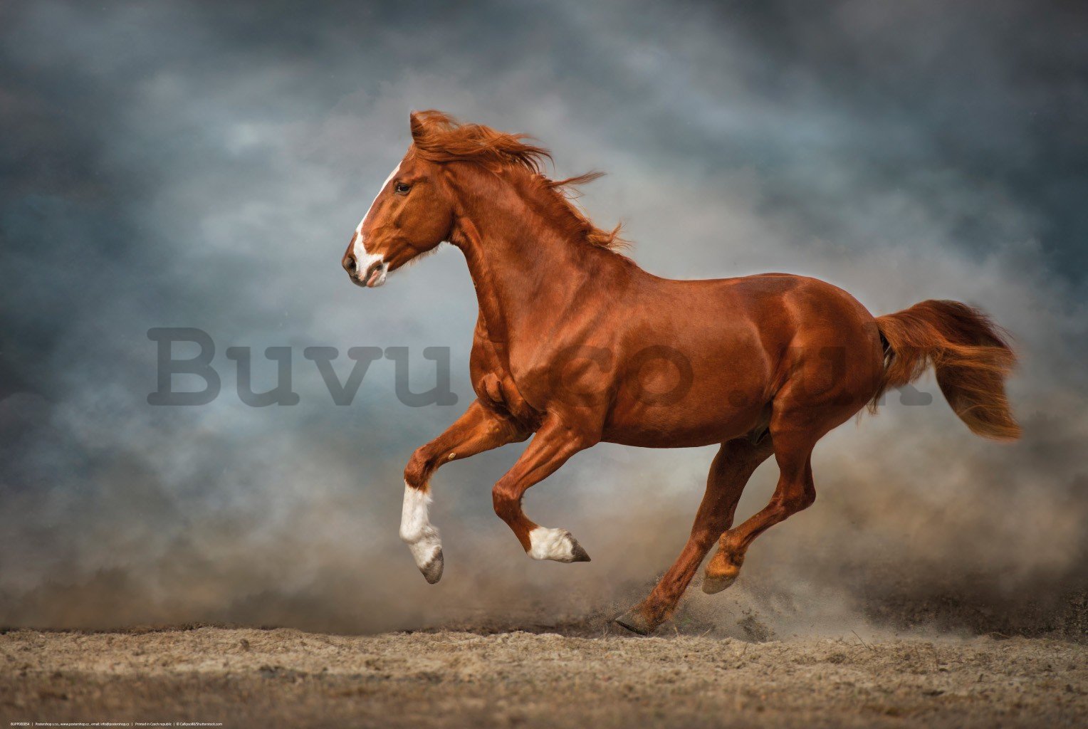 Poster: Galloping brown horse