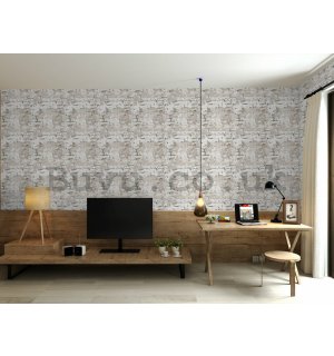 Vinyl wallpaper wall (1)