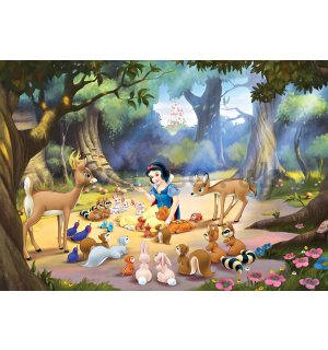 Wall mural vlies: Snow White and the Seven Dwarf (1) - 208x146 cm