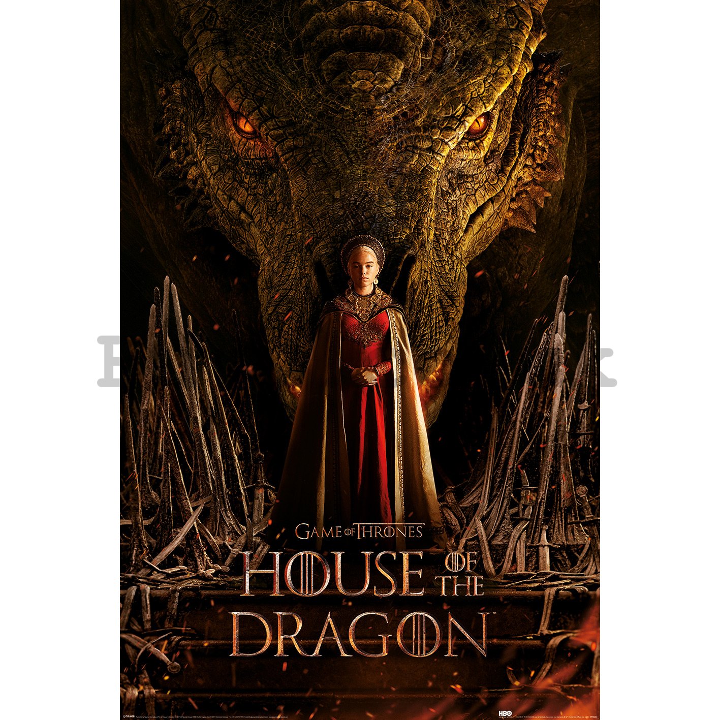 Poster - House of the Dragon (Dragon Throne)