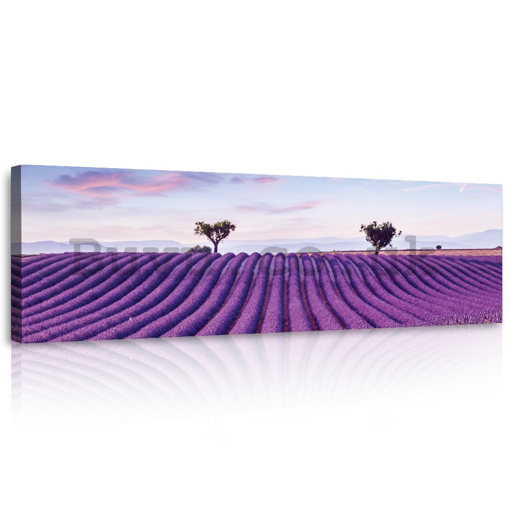 Painting on canvas: Lavender vines - 145x45 cm