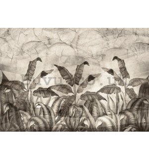 Wall mural vlies: Black and white imitation of natural leaves - 254x184 cm
