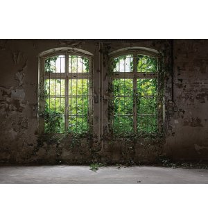 Wall mural vlies: Window with ivy - 254x184 cm