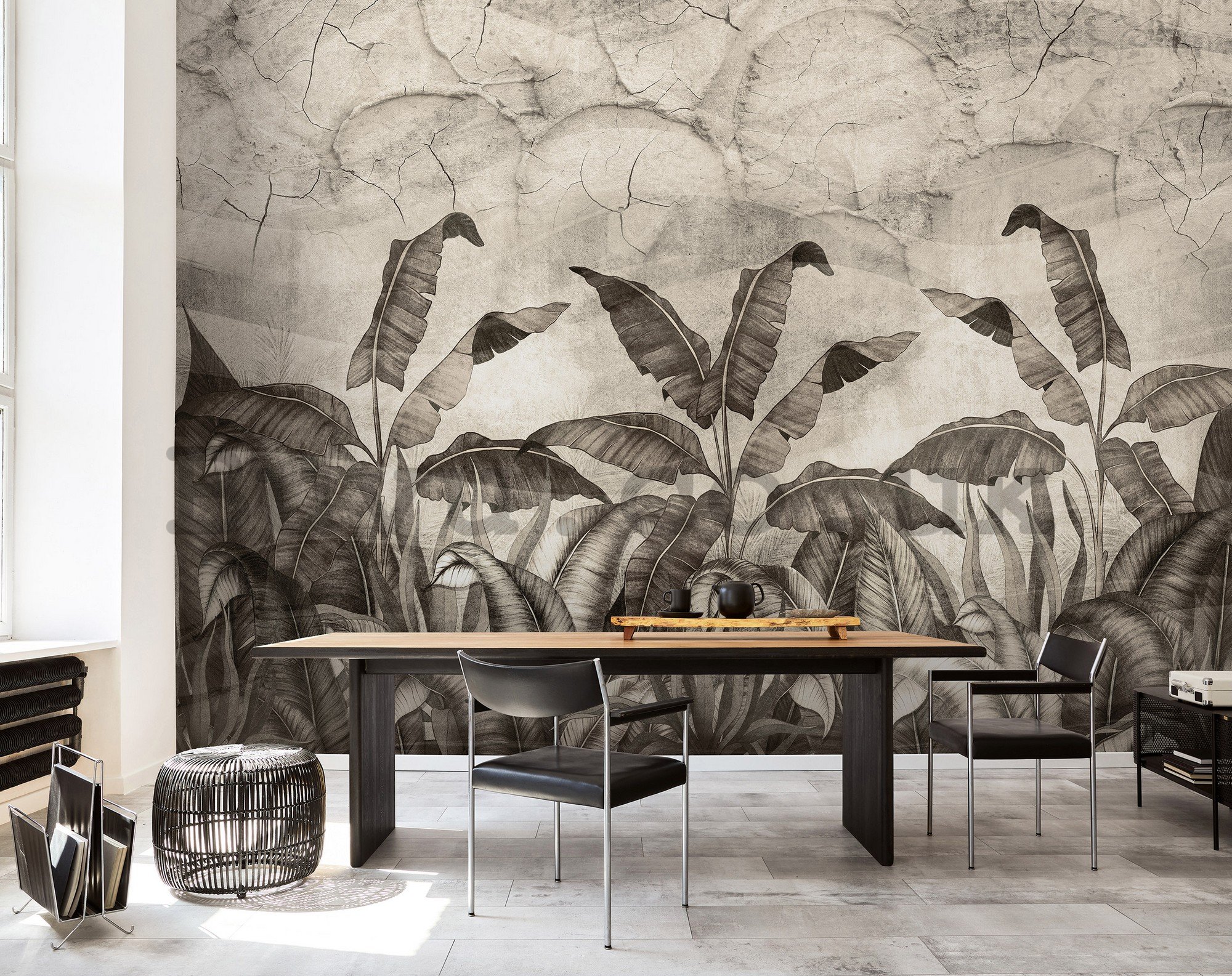 Wall mural vlies: Black and white imitation of natural leaves - 368x254 cm