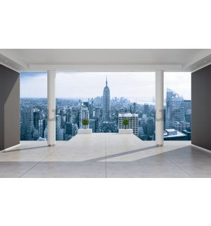 Wall Mural: View on Manhattan (terrace) - 184x254 cm