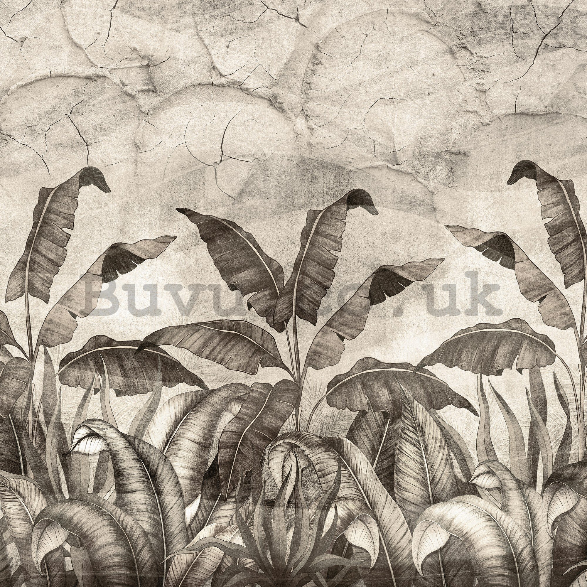 Wall mural vlies: Black and white imitation of natural leaves - 416x254 cm