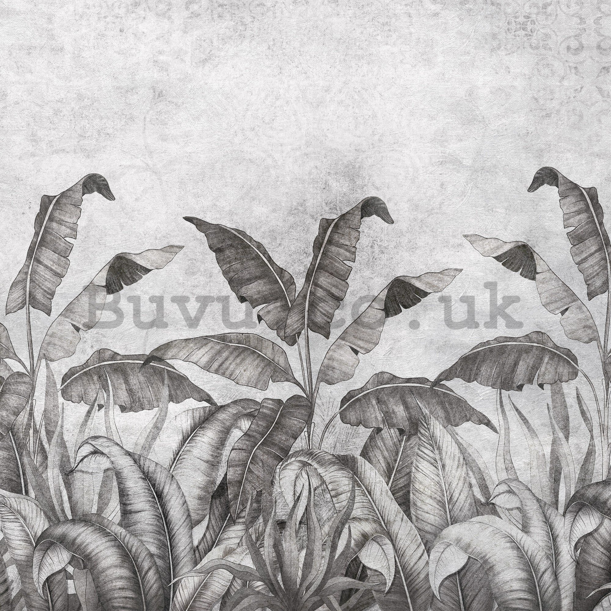 Wall mural vlies: Black and white imitation of natural leave (2) - 416x254 cm