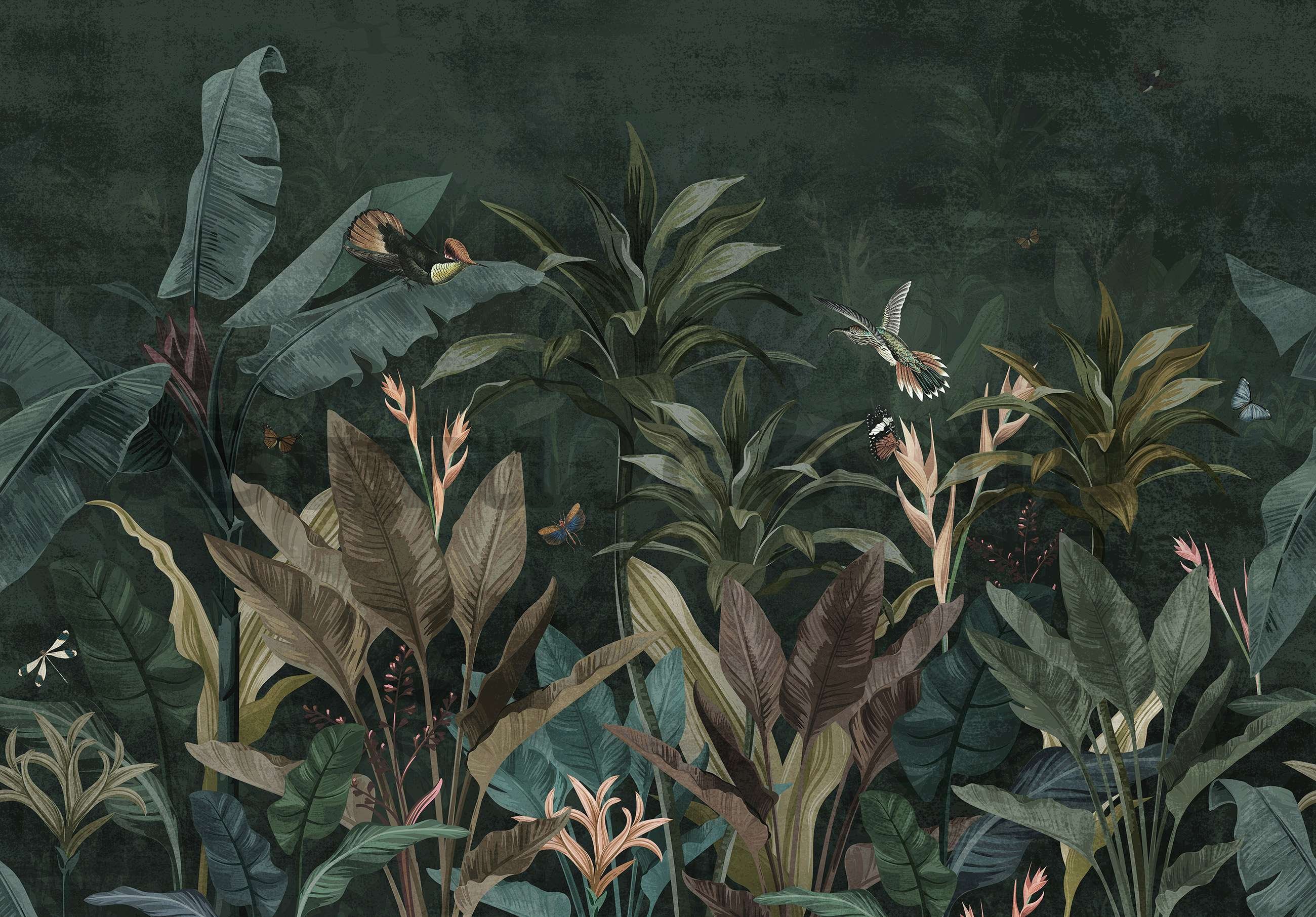 Wall mural vlies: Animals in the Jungle (Birds and Butterflies) - 254x184 cm