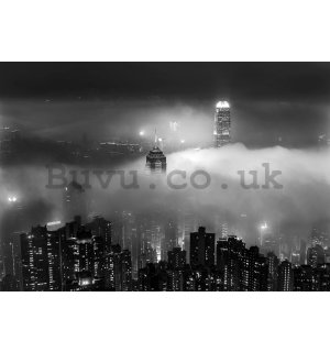 Wall mural vlies: Night City in Fog (black and white) - 254x184 cm