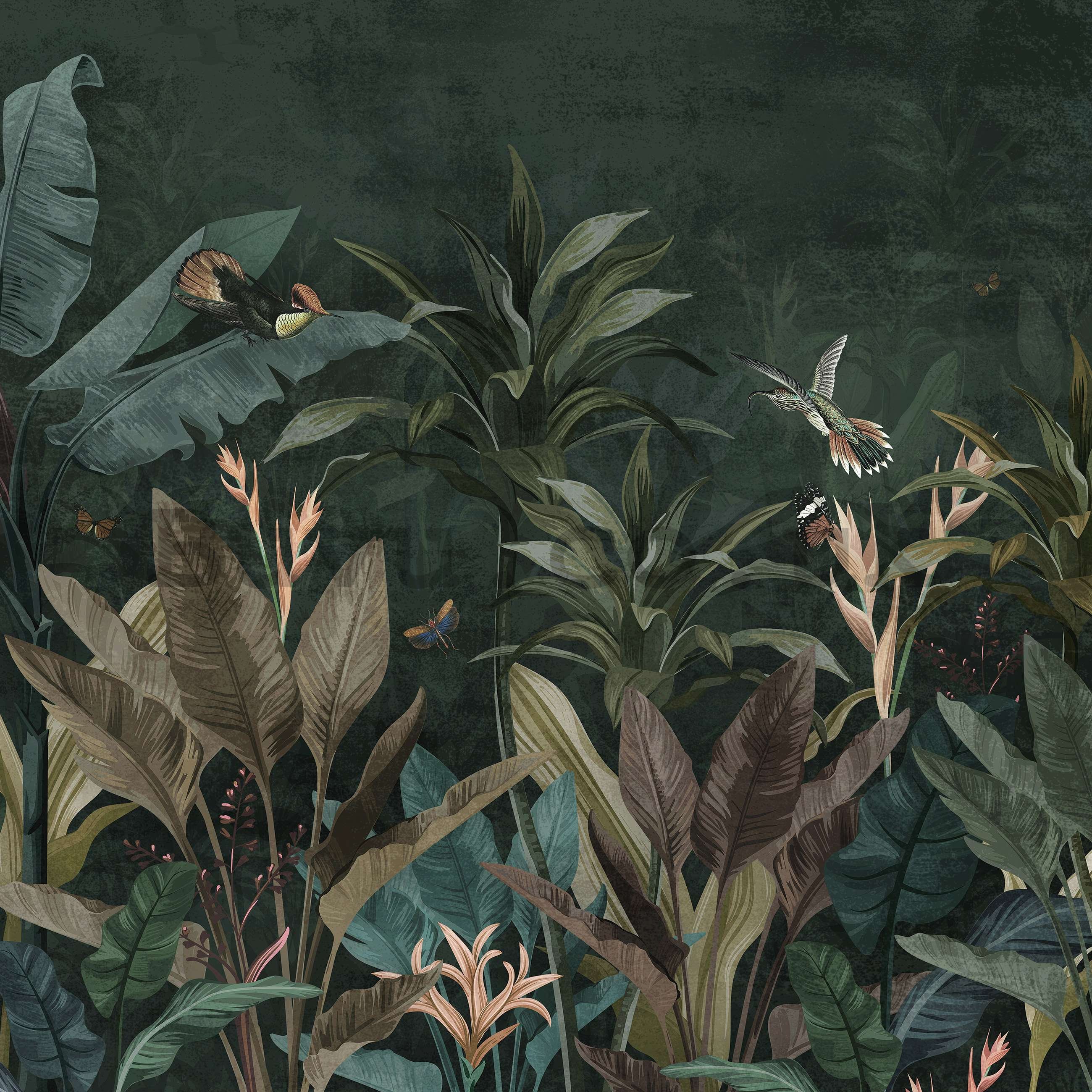 Wall mural vlies: Animals in the Jungle (Birds and Butterflies) - 368x254 cm