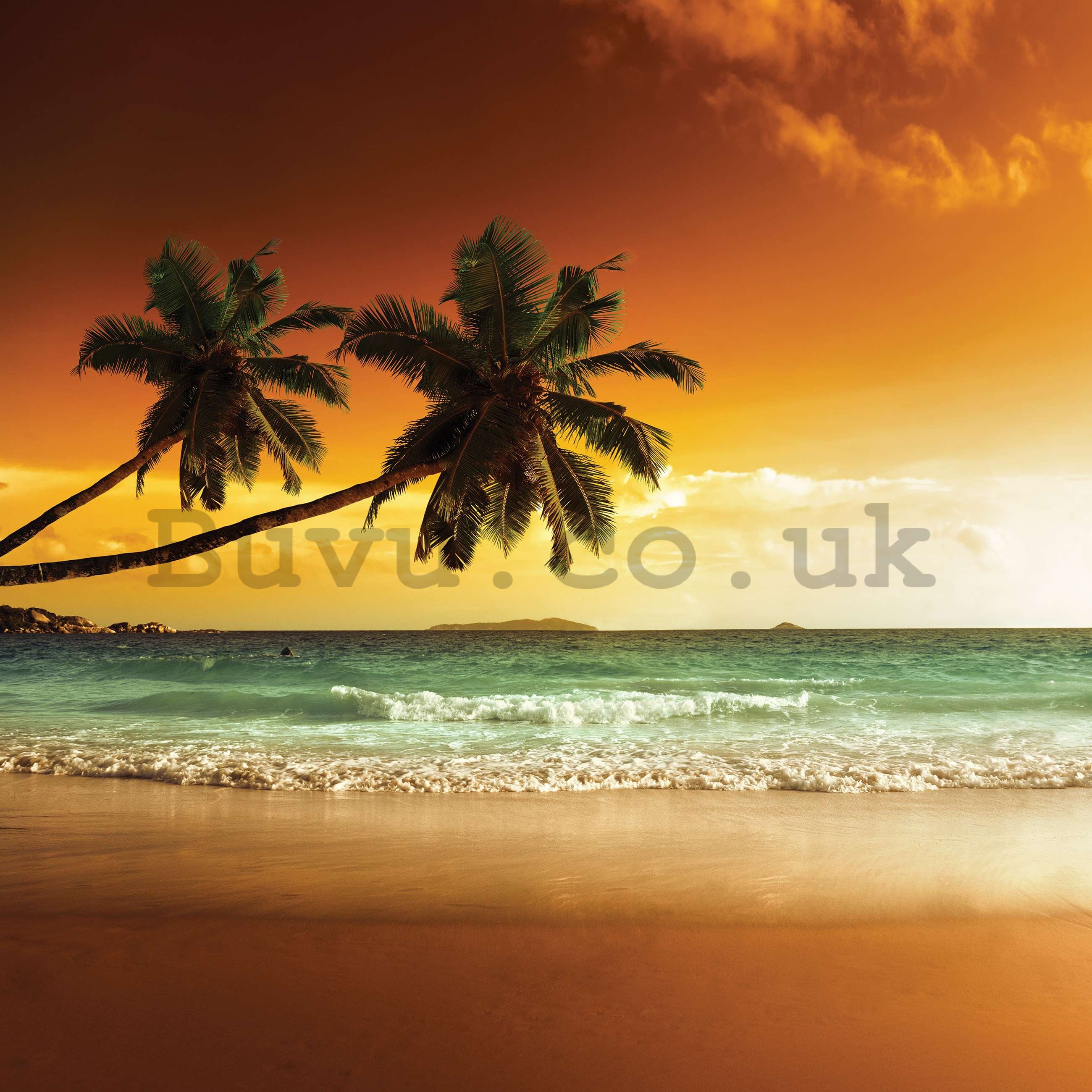 Wall mural vlies: Palm trees and beach at sunset - 368x254 cm