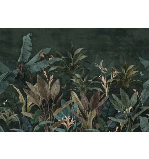 Wall mural vlies: Animals in the Jungle (Birds and Butterflies) - 152,5x104 cm