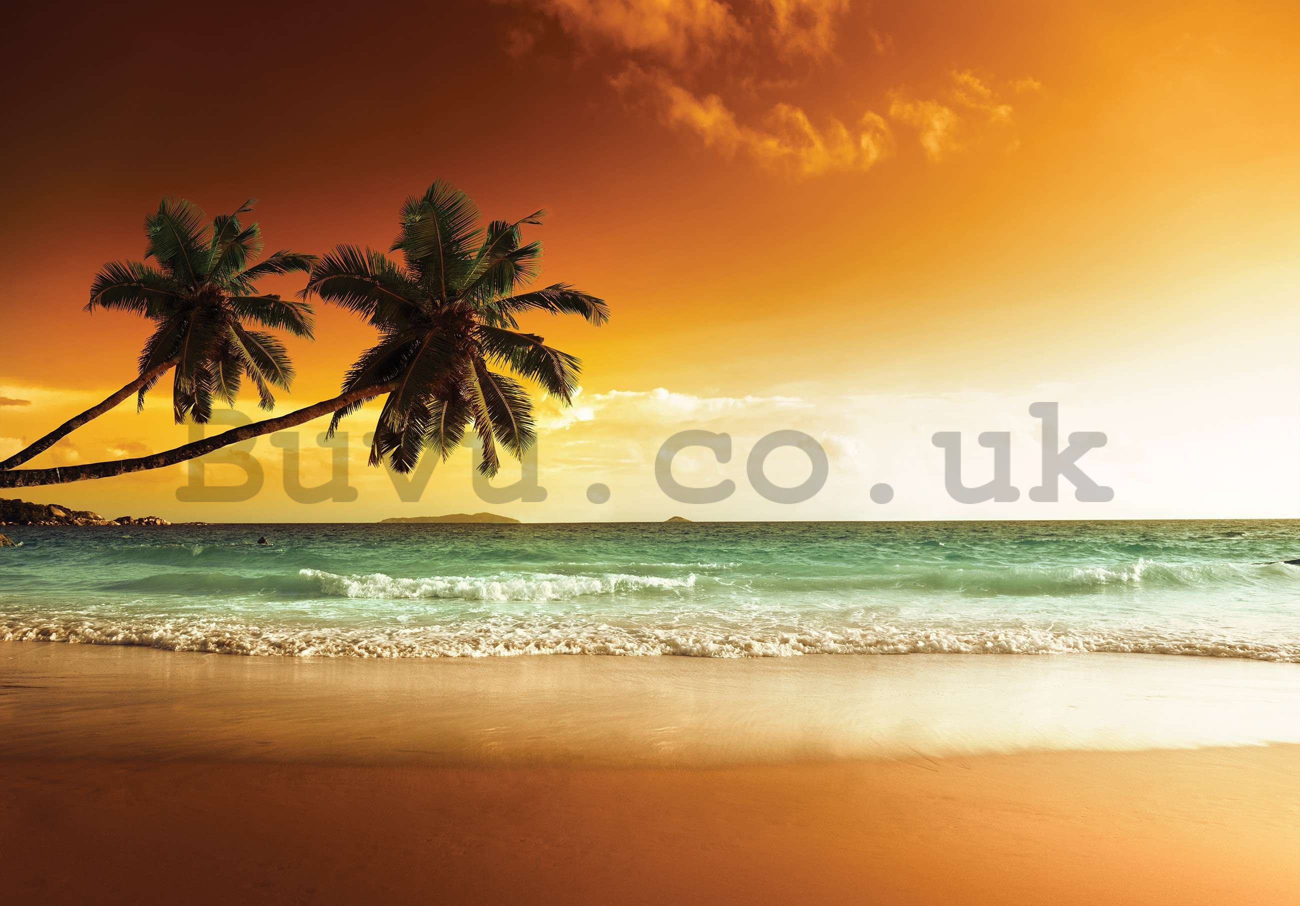 Wall mural vlies: Palm trees and beach at sunset - 152,5x104 cm