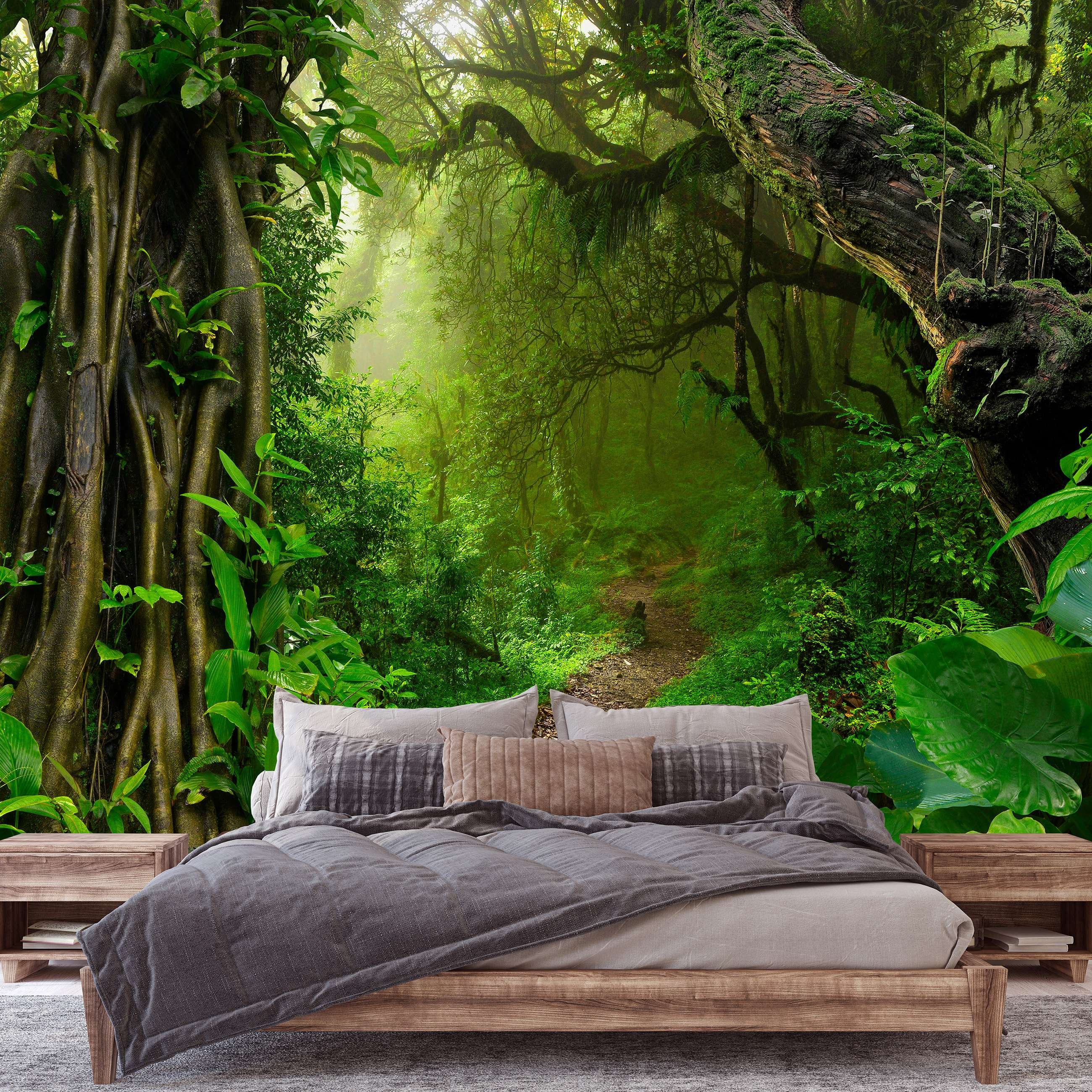 Wall mural vlies: Path in the forest - 254x184 cm