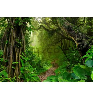Wall mural vlies: Path in the forest - 368x254 cm