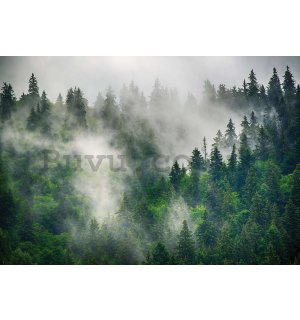 Wall mural vlies: Fog over the forest (5) - 104x70,5cm