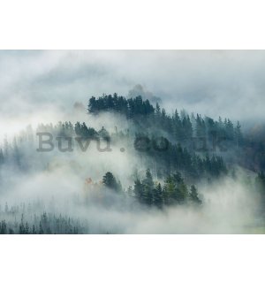 Wall mural vlies: Fog over the forest (4) - 416x254 cm