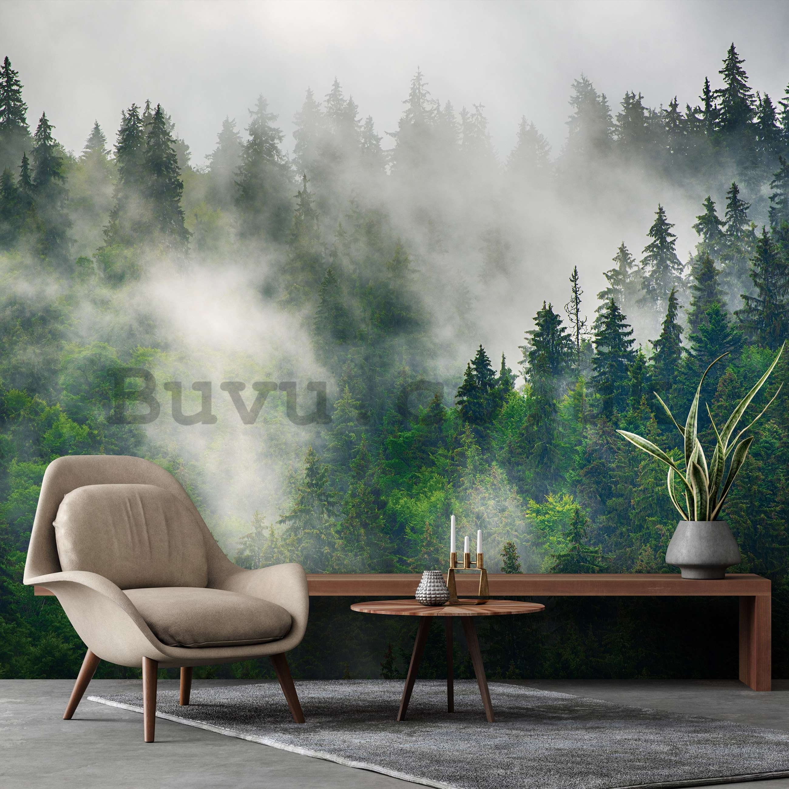 Wall mural vlies: Fog over the forest (5) - 416x254 cm