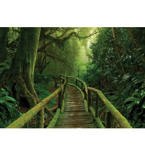 Wall mural vlies: A footbridge in the jungle - 254x184 cm