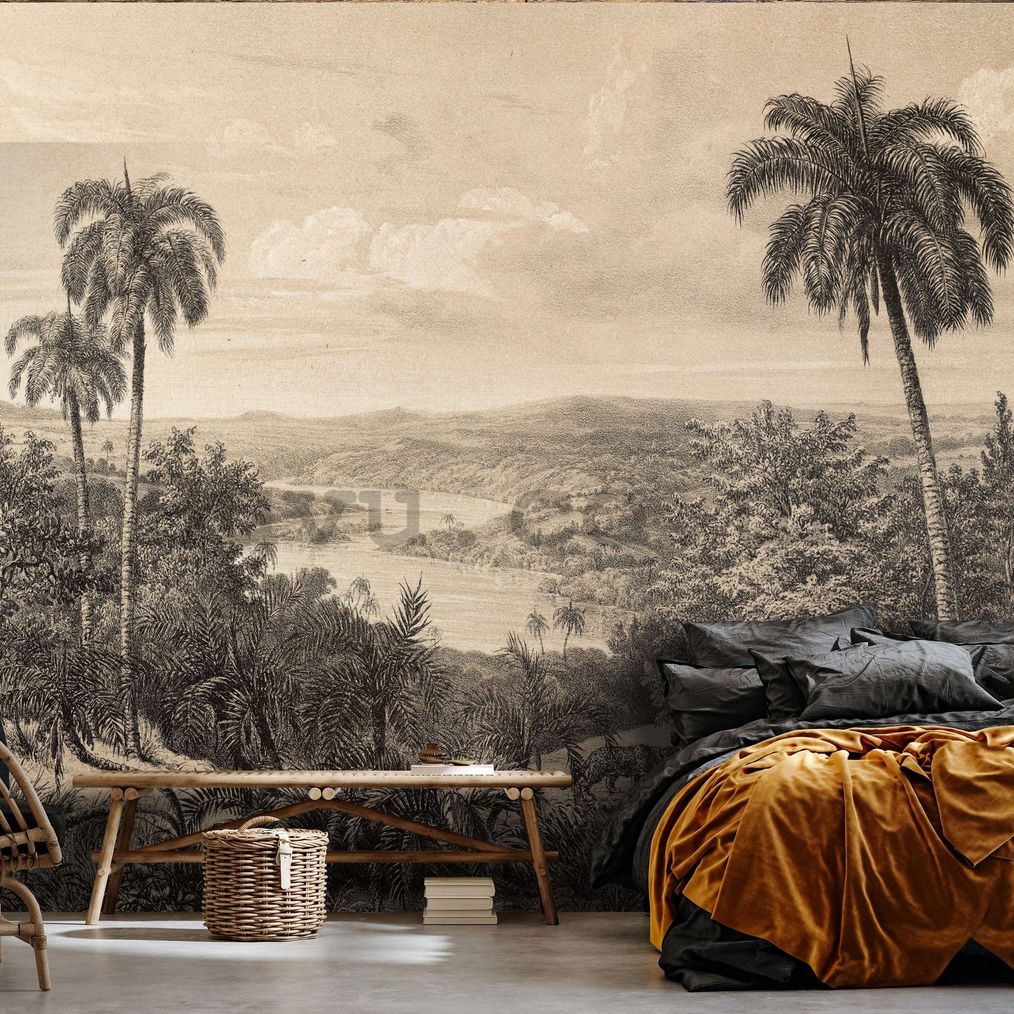 Wall mural vlies: Amazon River, lithography - 254x184 cm