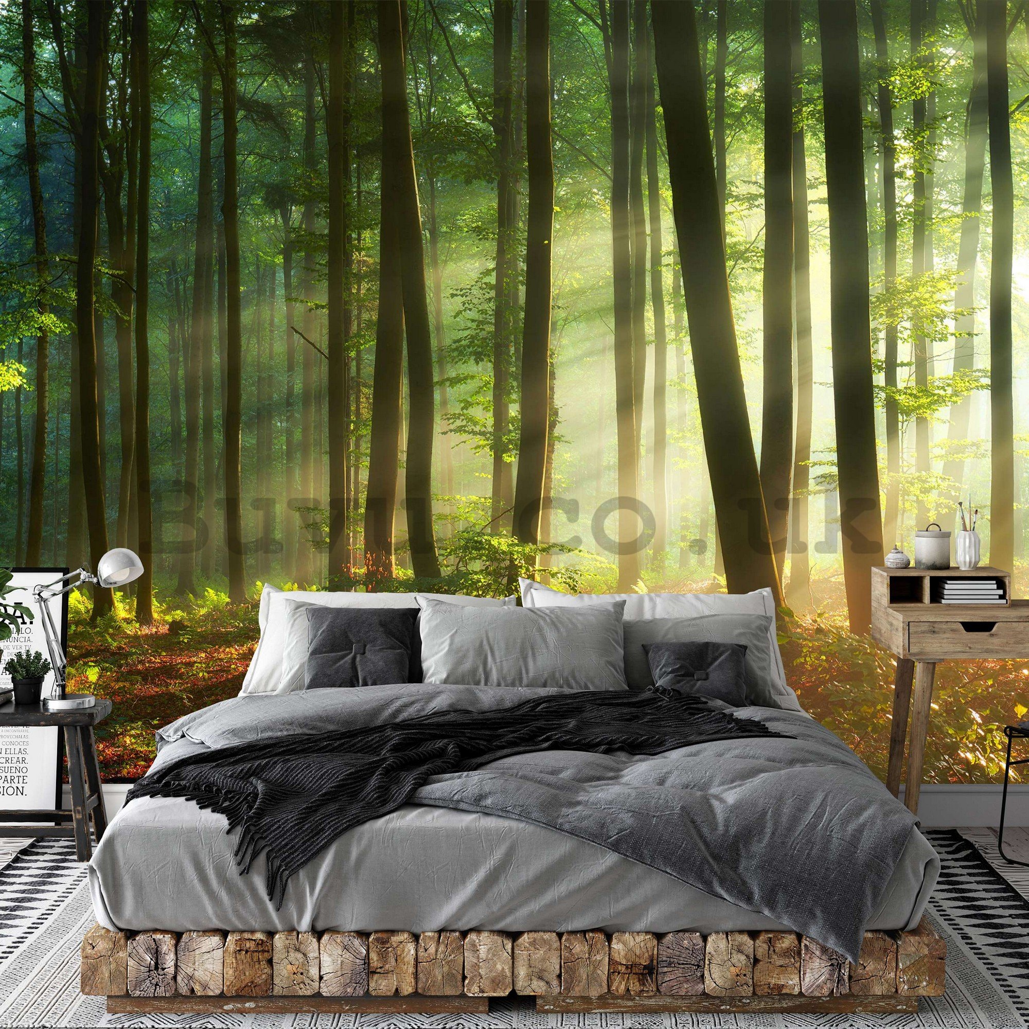Wall mural vlies: Sunrise in the forest - 368x254 cm