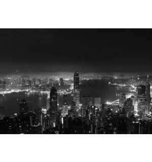 Wall mural vlies: Panorama of a big city (black and white) - 368x254 cm
