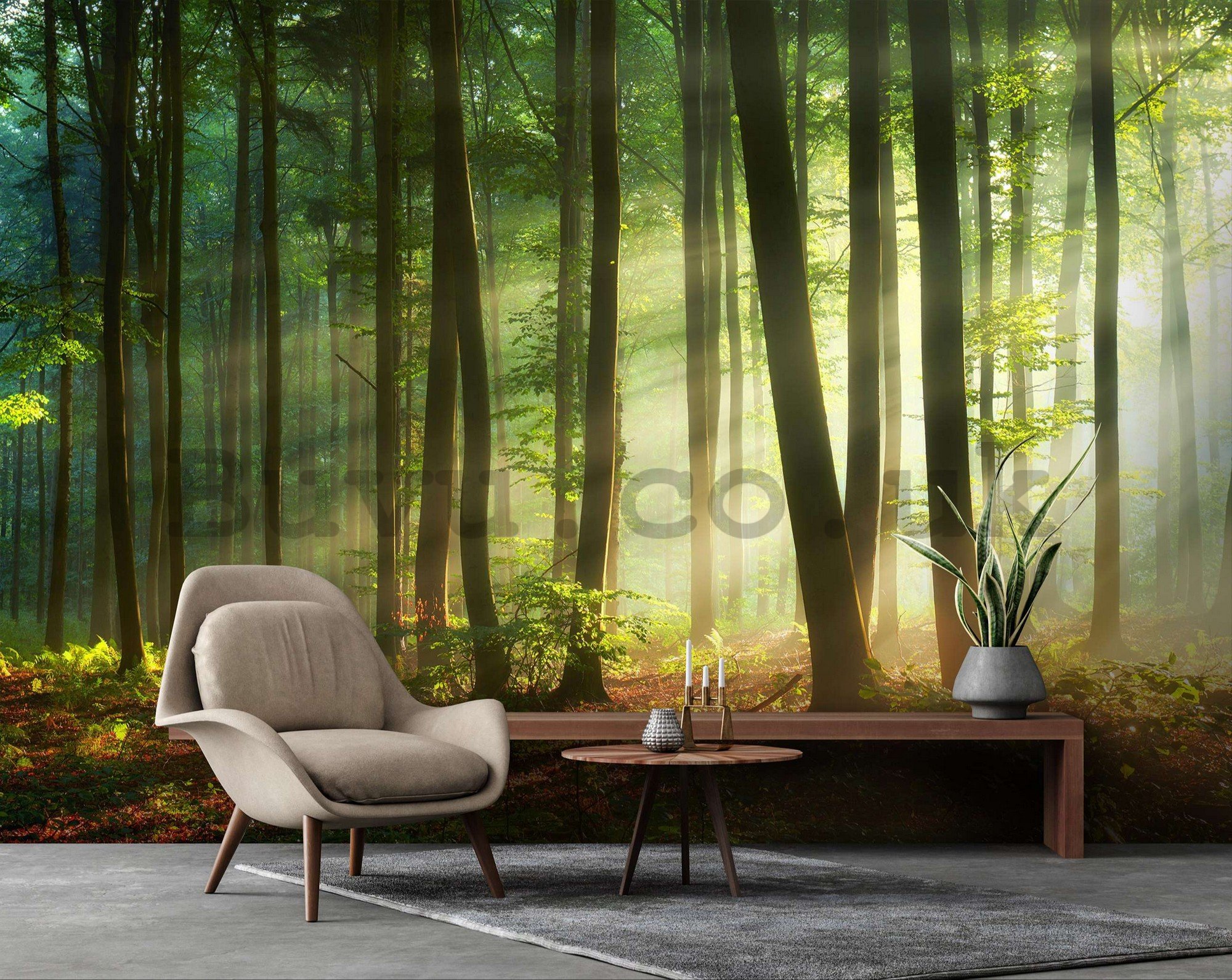 Wall mural vlies: Sunrise in the forest - 416x254 cm